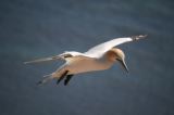 Nordseewoche 2010