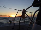 DSC03459_1192